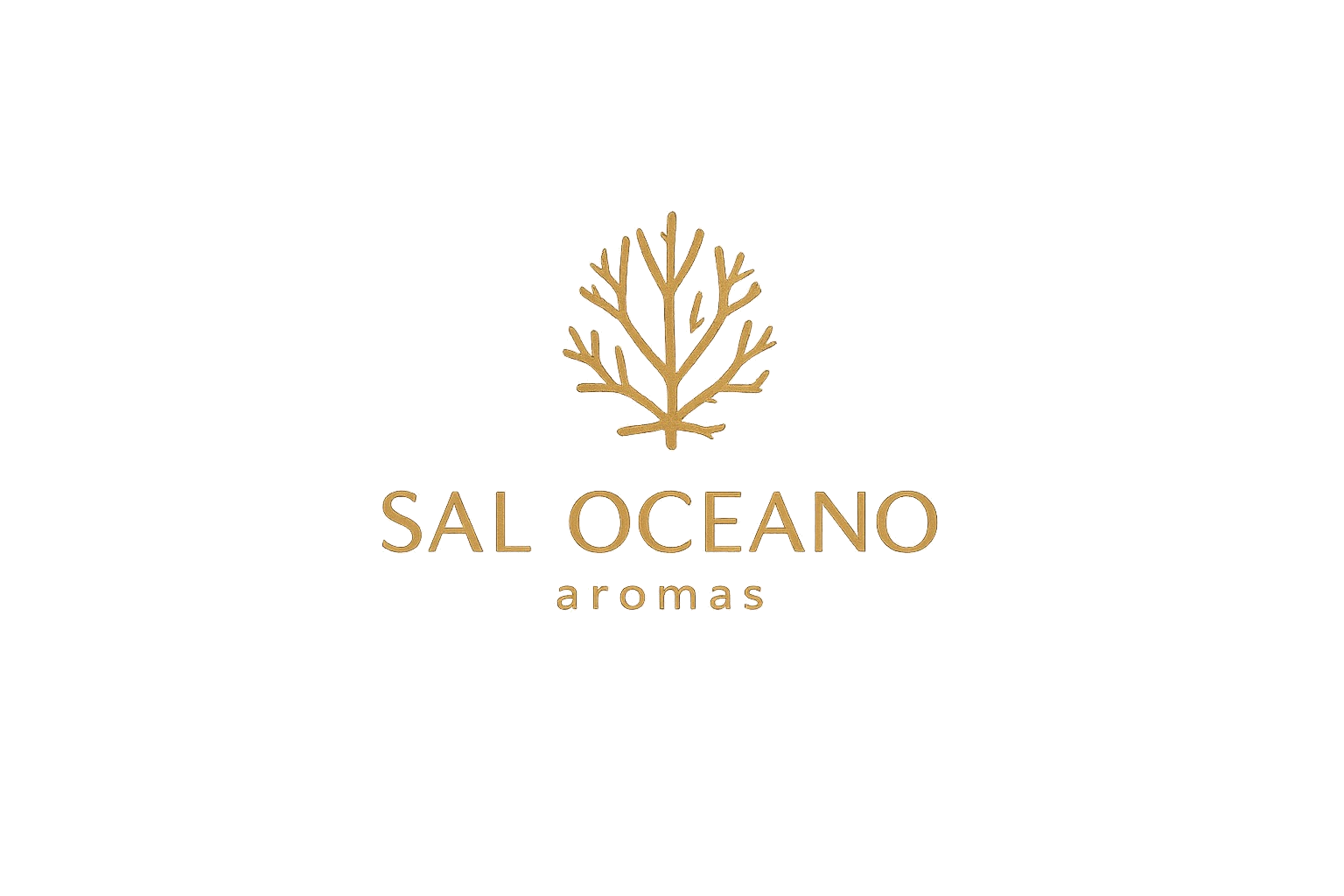 SAL OCEANO Aromas